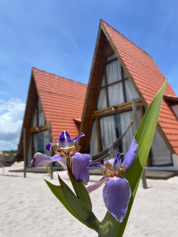 Vila Pahu - Caraíva Buitenkant foto